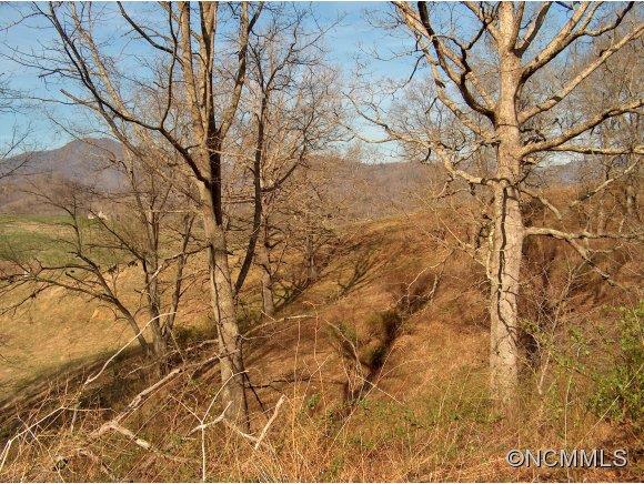 Lot 2 Buck Ridge Road, Unit 2 Clyde, NC 28721 - Photo 15 of 24 a backyard of a house with lots of trees