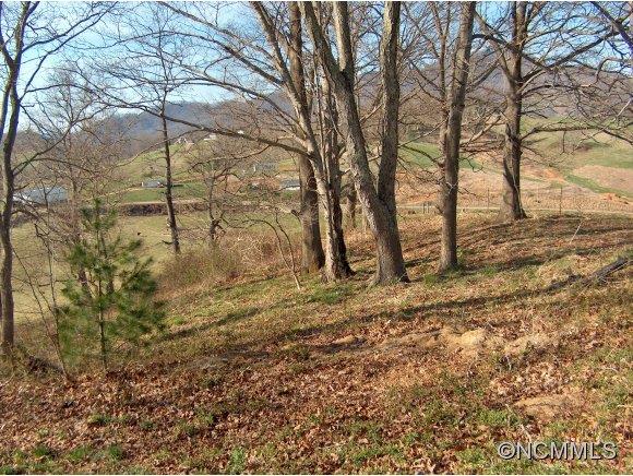 Lot 2 Buck Ridge Road, Unit 2 Clyde, NC 28721 - Photo 16 of 24 a view of a yard with a tree