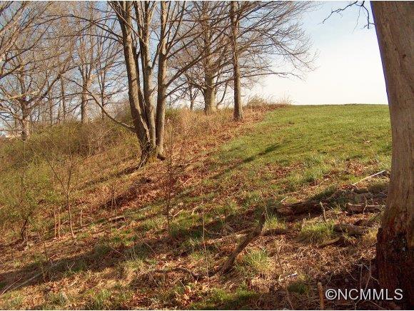 Lot 2 Buck Ridge Road, Unit 2 Clyde, NC 28721 - Photo 17 of 24 a view of an ocean