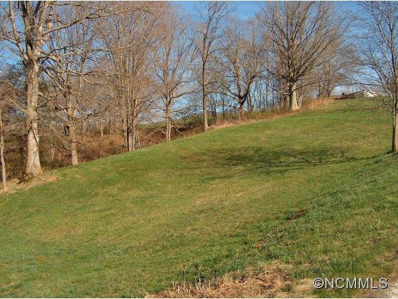 Lot 2 Buck Ridge Road, Unit 2 Clyde, NC 28721 - Photo 18 of 24 a view of yard with large trees