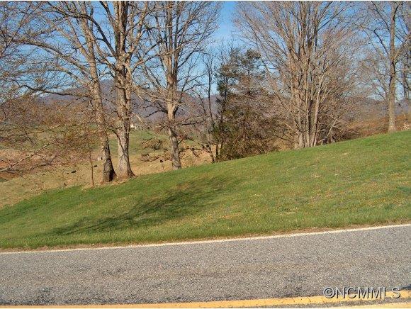 Lot 2 Buck Ridge Road, Unit 2 Clyde, NC 28721 - Photo 20 of 24 a view of yard with large trees