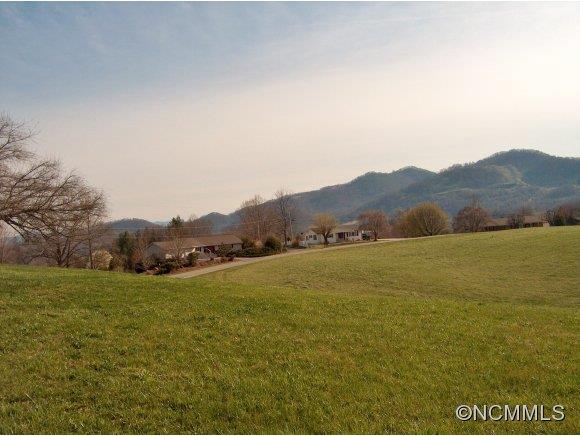 Lot 2 Buck Ridge Road, Unit 2 Clyde, NC 28721 - Photo 3 of 24 a view of an outdoor space and mountain view