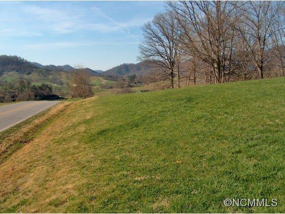 Lot 2 Buck Ridge Road, Unit 2 Clyde, NC 28721 - Photo 21 of 24 a view of an outdoor space and a yard