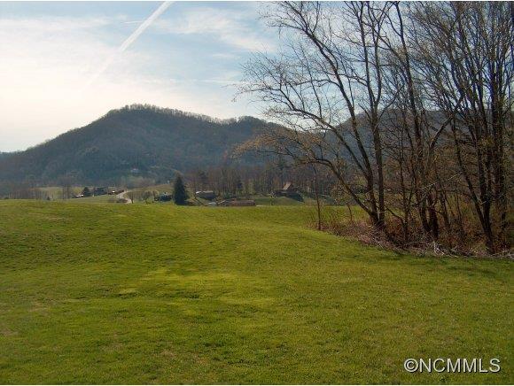 Lot 2 Buck Ridge Road, Unit 2 Clyde, NC 28721 - Photo 22 of 24 a view of an ocean from a yard