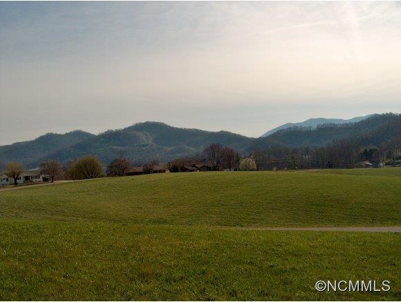 Lot 2 Buck Ridge Road, Unit 2 Clyde, NC 28721 - Photo 4 of 24 a view of an ocean and mountains