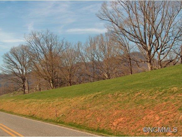 Lot 2 Buck Ridge Road, Unit 2 Clyde, NC 28721 - Photo 9 of 24 a view of yard with tree s