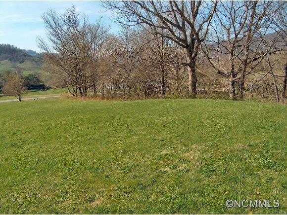 Lot 2 Buck Ridge Road, Unit 2 Clyde, NC 28721 - Photo 10 of 24 a view of outdoor space and yard