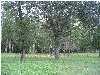 2435 Possum Corner Road Walterboro, SC 29488 - Photo 3 of 4 Additional Photo