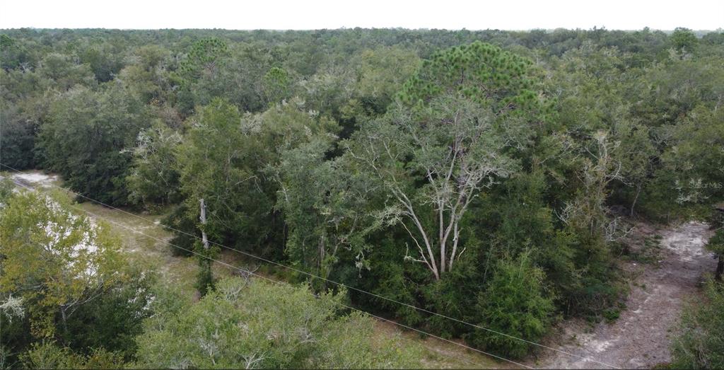 Northeast 127th Court Bronson, FL 32621 - Photo 3 of 6