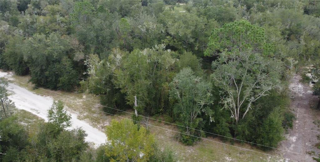 Northeast 127th Court Bronson, FL 32621 - Photo 4 of 6