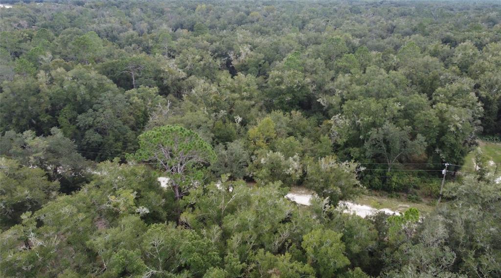 Northeast 127th Court Bronson, FL 32621 - Photo 5 of 6