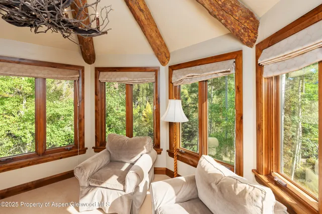 a view of yard and green space