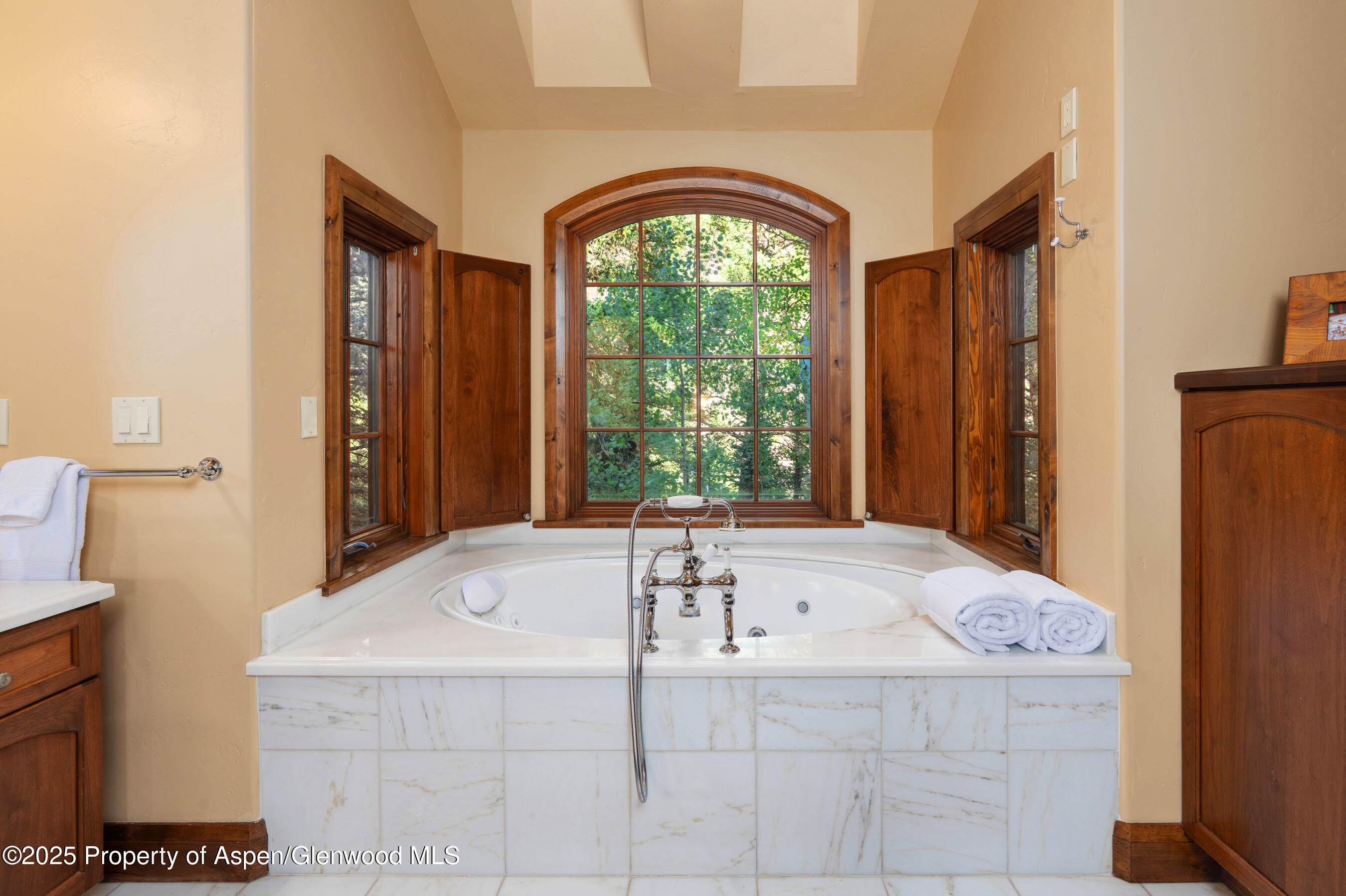 800 South Hayden Road Aspen, CO 81611 - Photo 43 of 60 Photo22