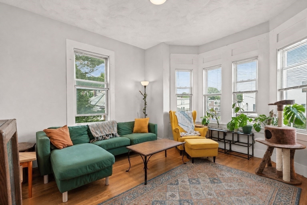 39 Union Street Boston, MA 02135 - Photo 9 of 33 a living room with furniture and a potted plant