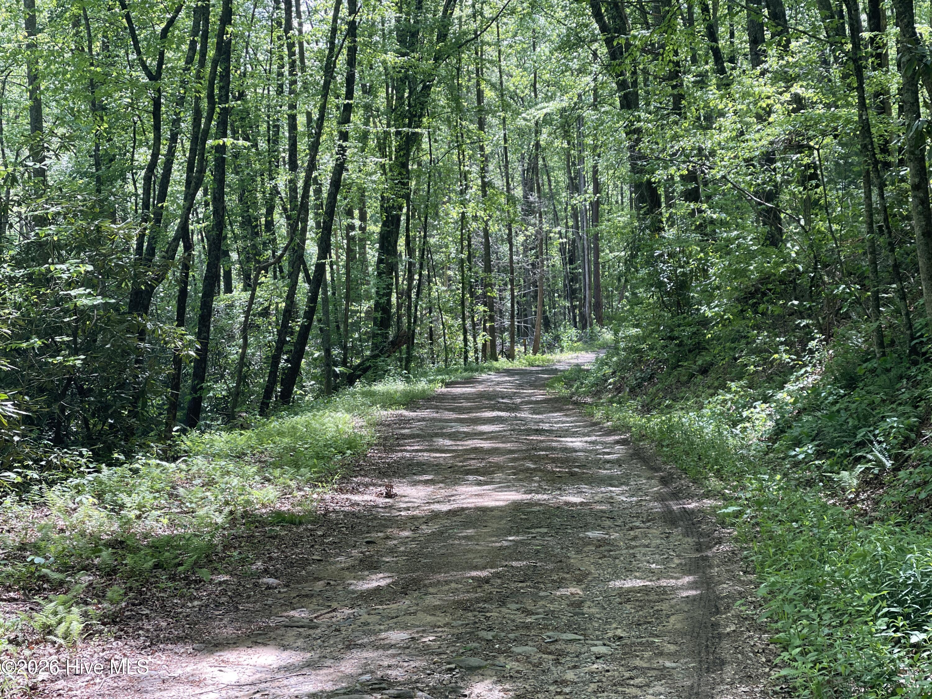 0 Poley Morrow Road Murphy, NC 28906 - Photo 1 of 1 road to the property