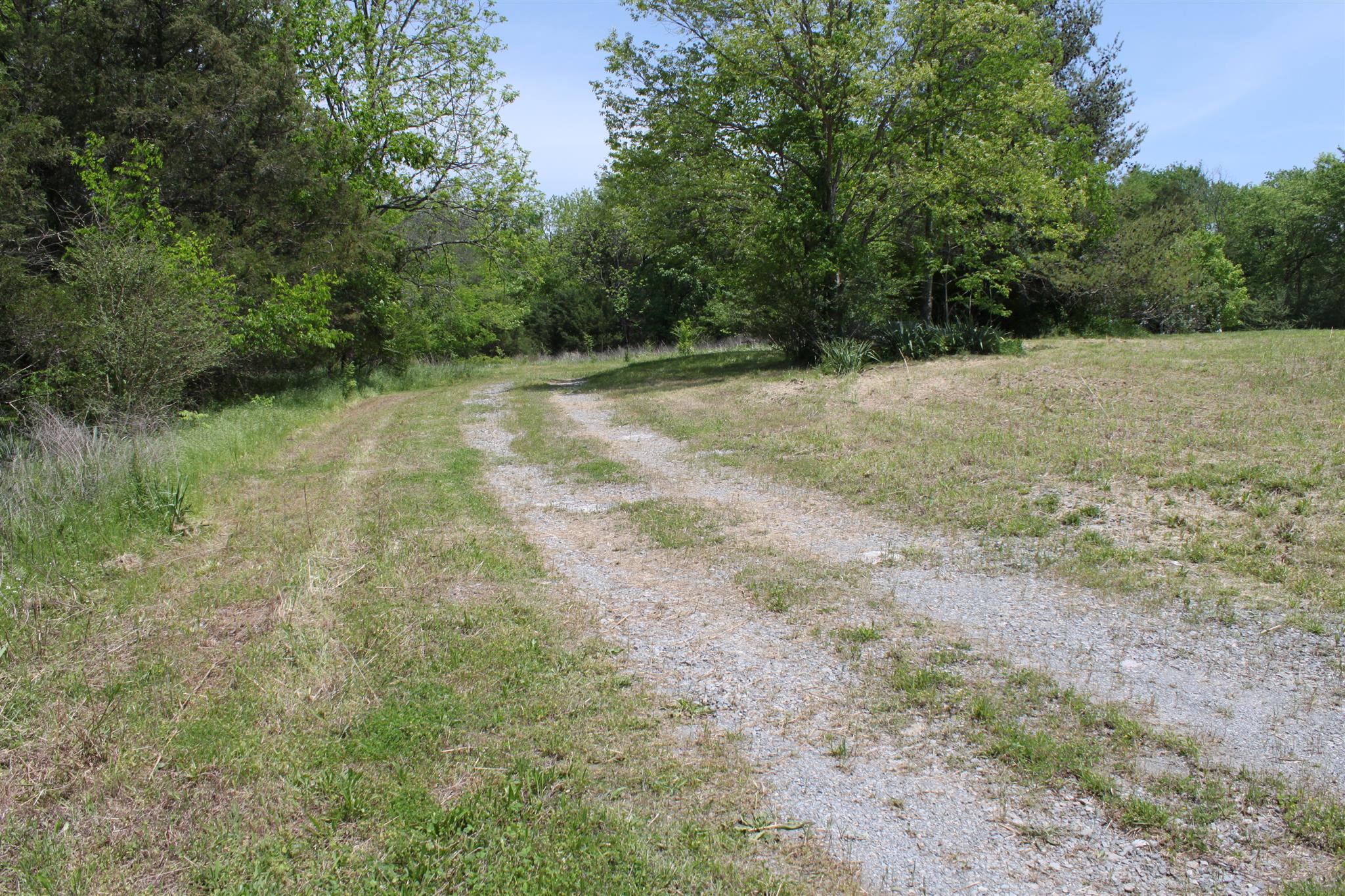 6472 Cox Road College Grove, TN 37046 - Photo 3 of 4 Gallery Image 3