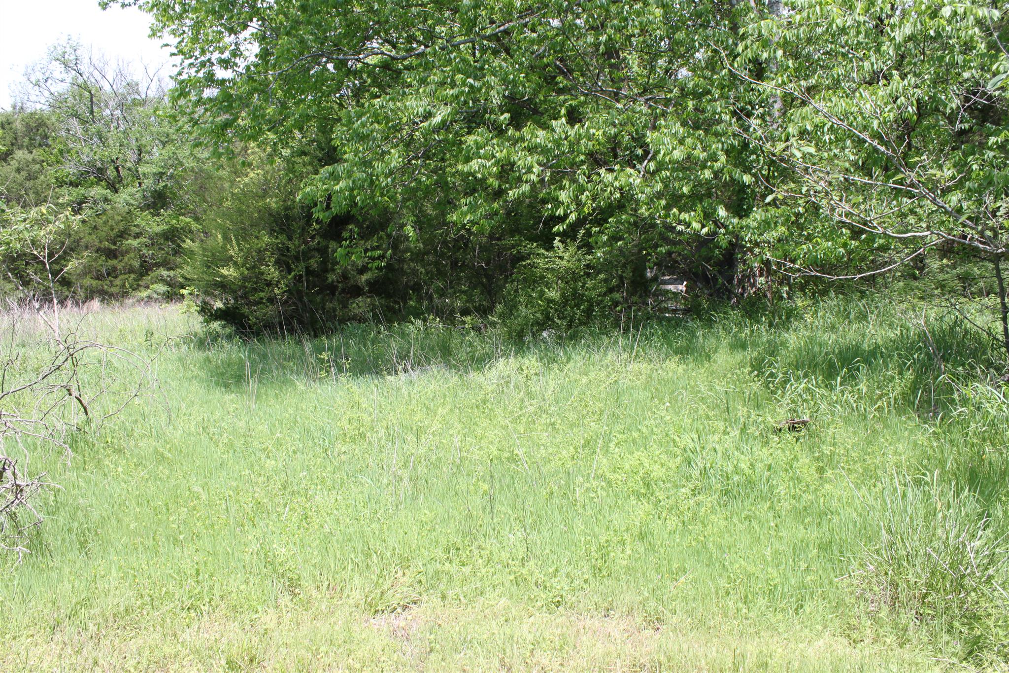 6472 Cox Road College Grove, TN 37046 - Photo 4 of 4 Gallery Image 4