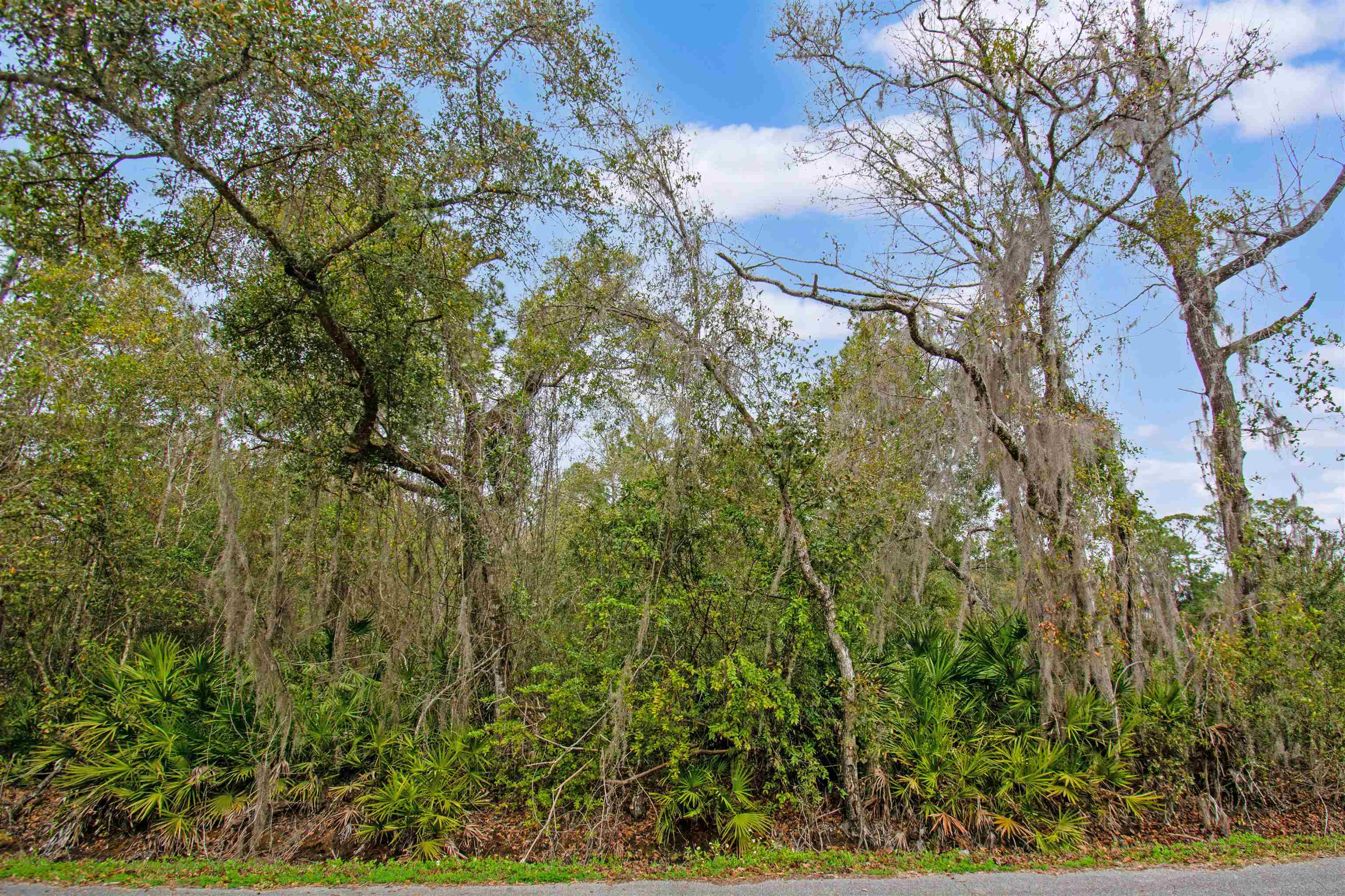 0 Riverdale Road St. Augustine, FL 32092 - Photo 11 of 17 Gallery Image 11
