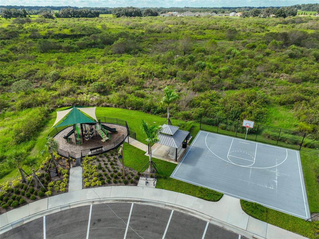 3528 Maple Grv Way Plant City, FL 33565 - Photo 51 of 51 a view of yard from terrace