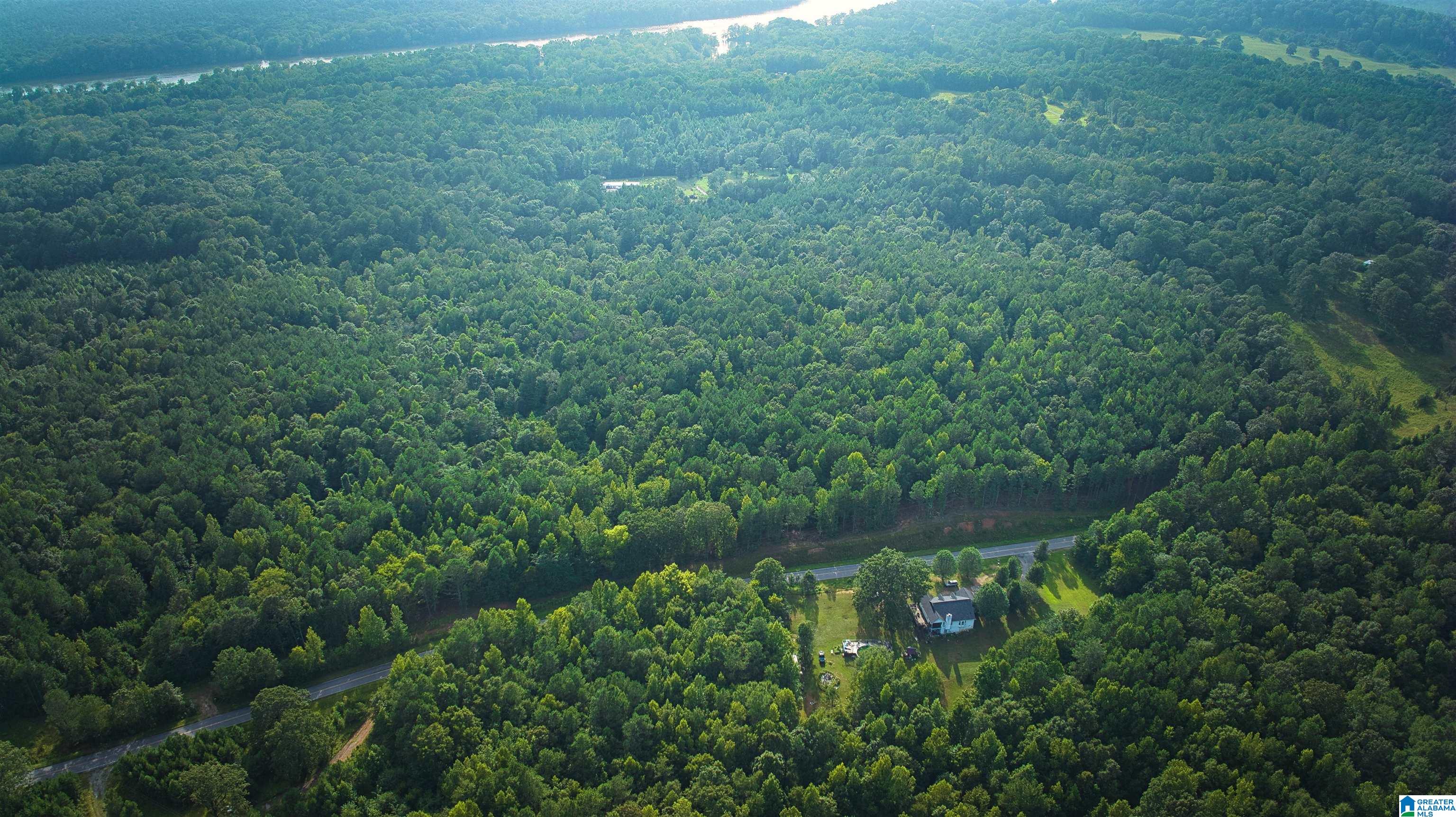 Lot 20 Wester Road, Unit LOT 20 Ragland, AL 35131 - Photo 49 of 68