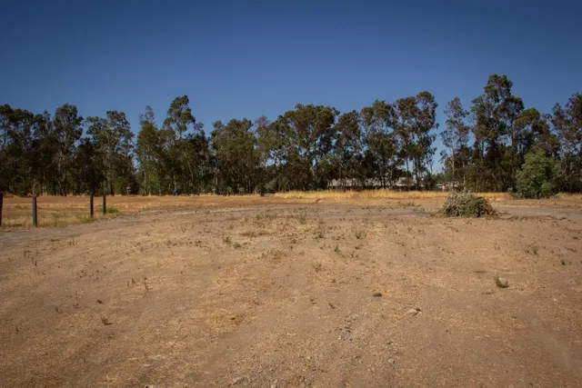 a view of yard with trees