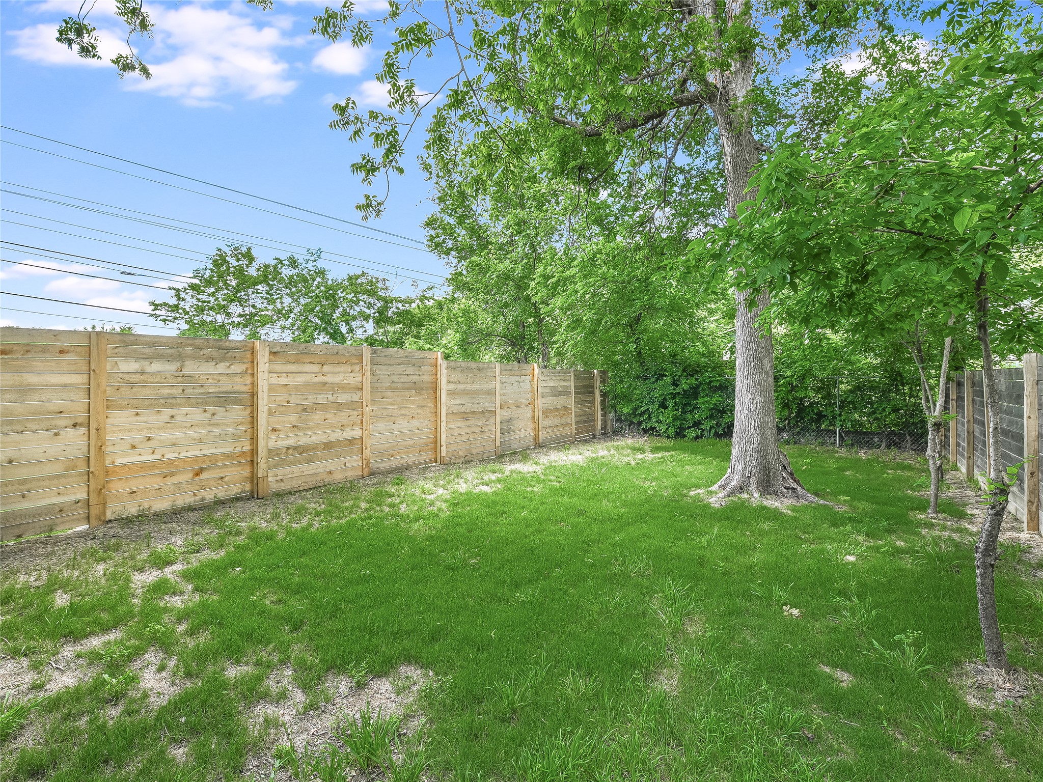 1202 Cometa Street, Unit B Austin, TX 78721 - Photo 24 of 25 a view of a backyard with potted plants