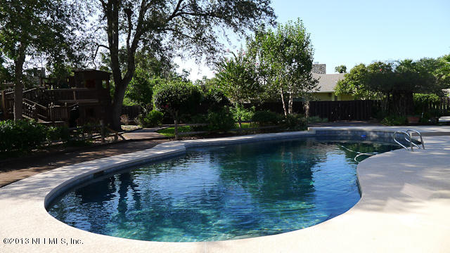 Pool and Backyard