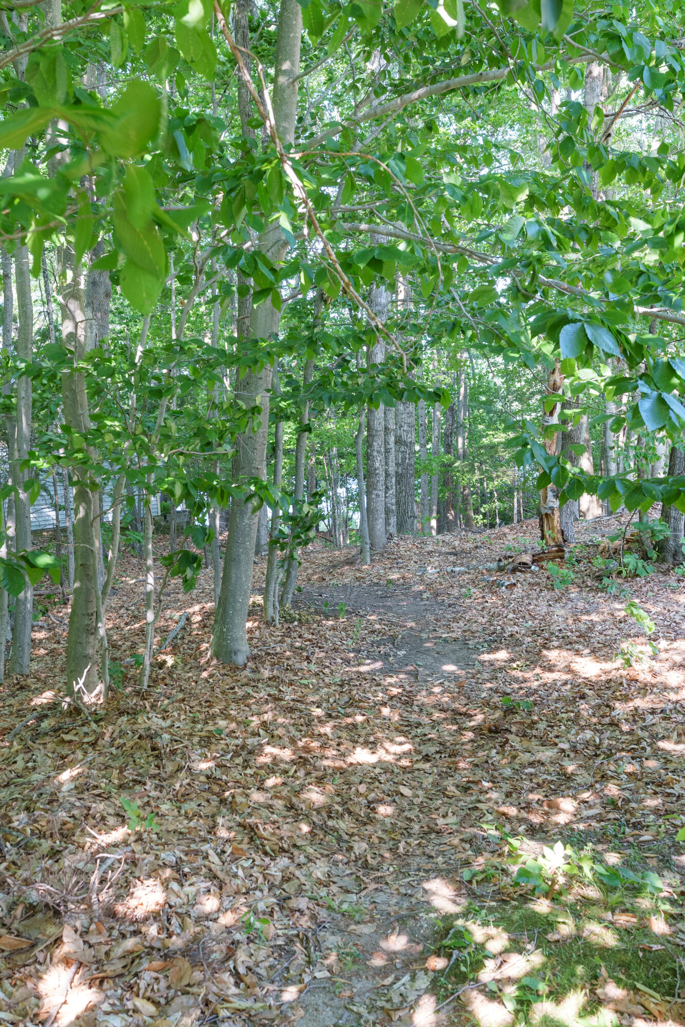 0 Meadow Road Casco, ME 04015 - Photo 7 of 11 ROW path to sandy Beach