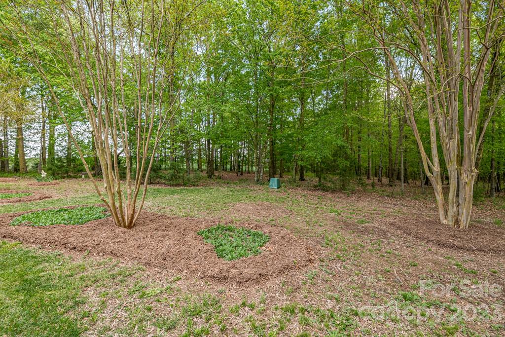 5606 Fish Road, Unit 11 Marshville, NC 28103 - Photo 33 of 47 Gallery Image 33