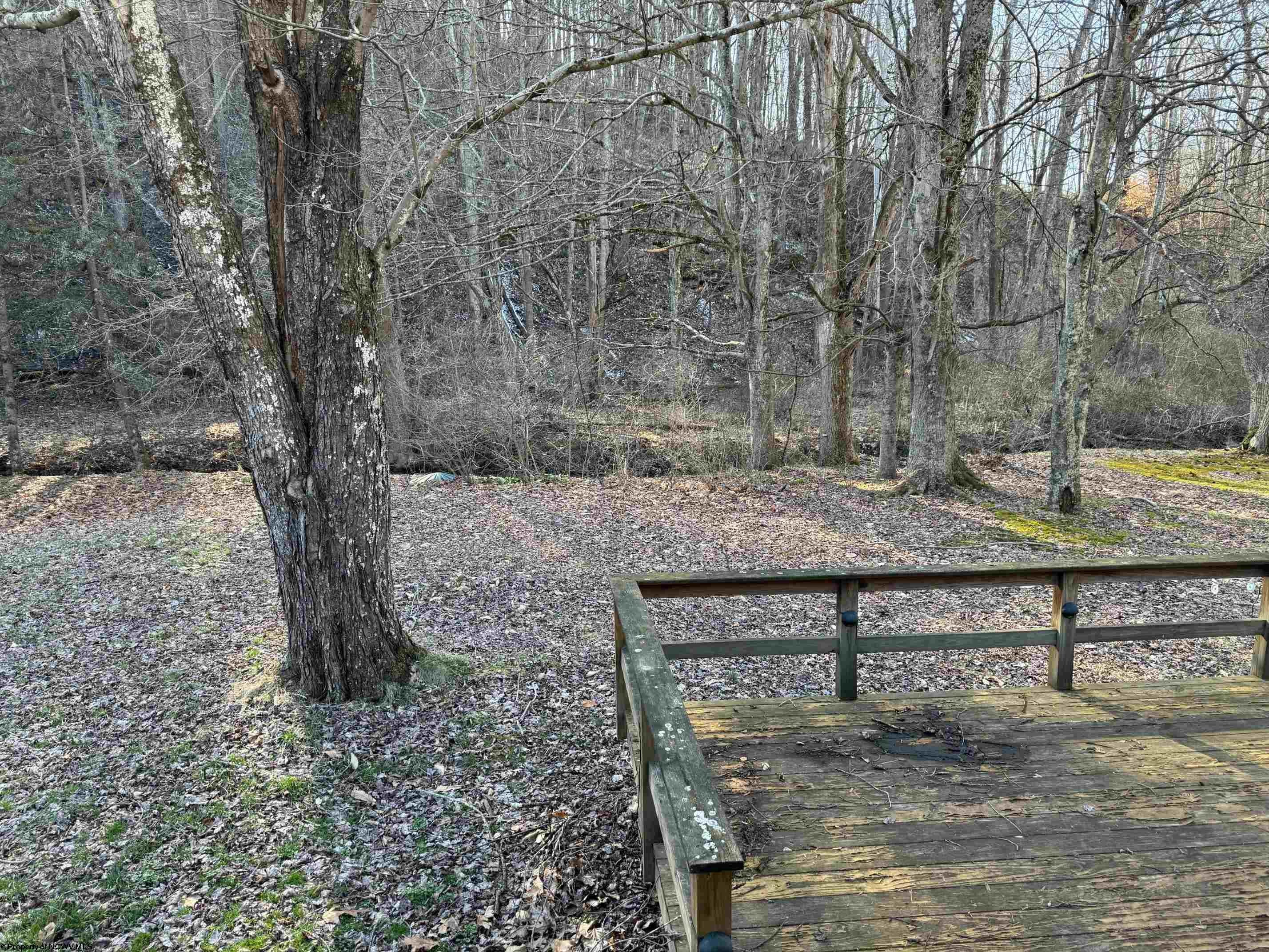 802 Childers Run Road Buckhannon, WV 26201 - Photo 22 of 22 Gallery Image 22