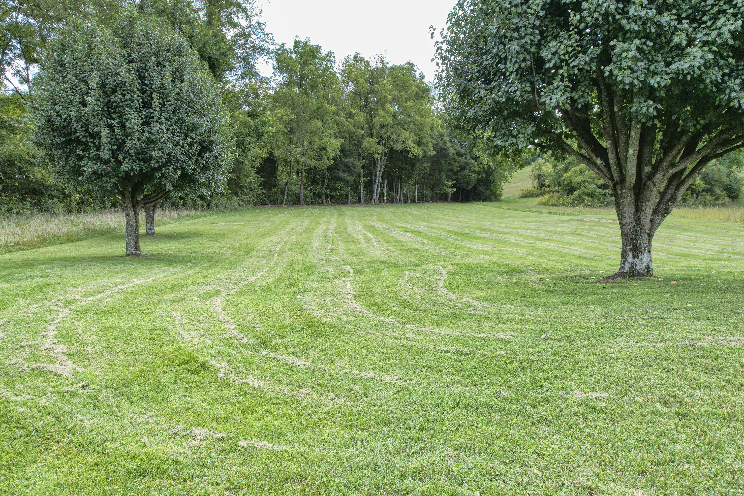 149 Ellis Road Blountville, TN 37617 - Photo 22 of 34 Ellis_24
