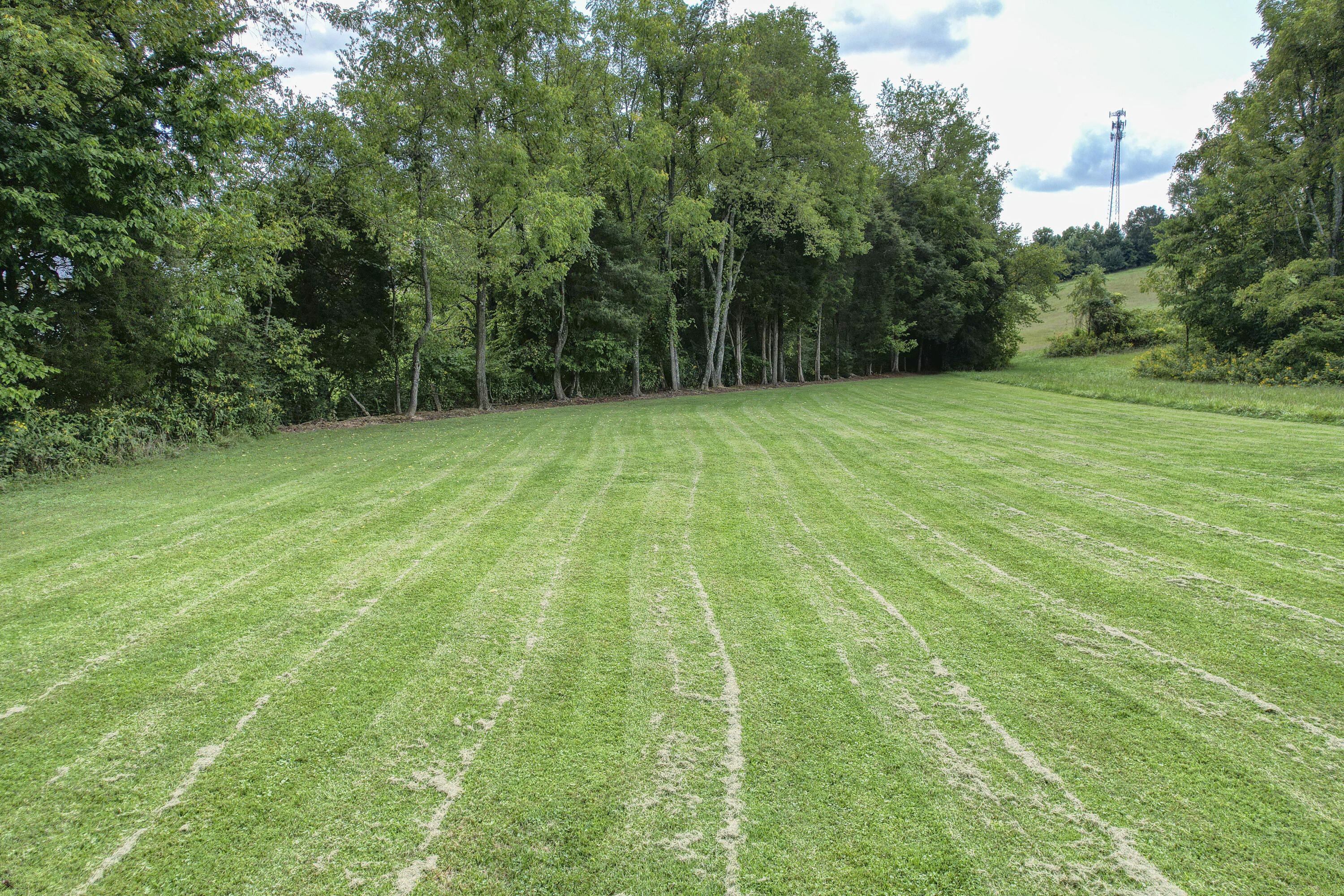 149 Ellis Road Blountville, TN 37617 - Photo 23 of 34 Ellis_25