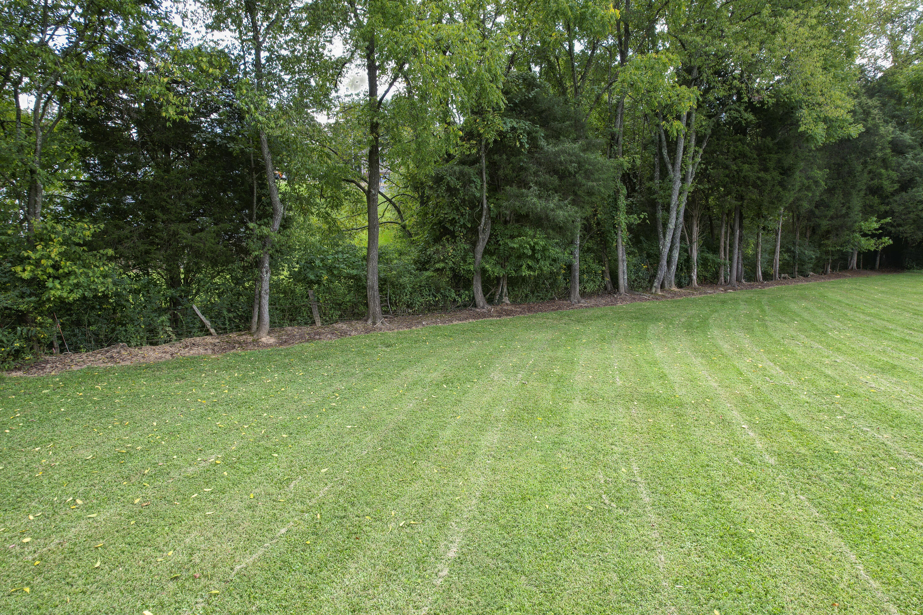 149 Ellis Road Blountville, TN 37617 - Photo 24 of 34 Ellis_26