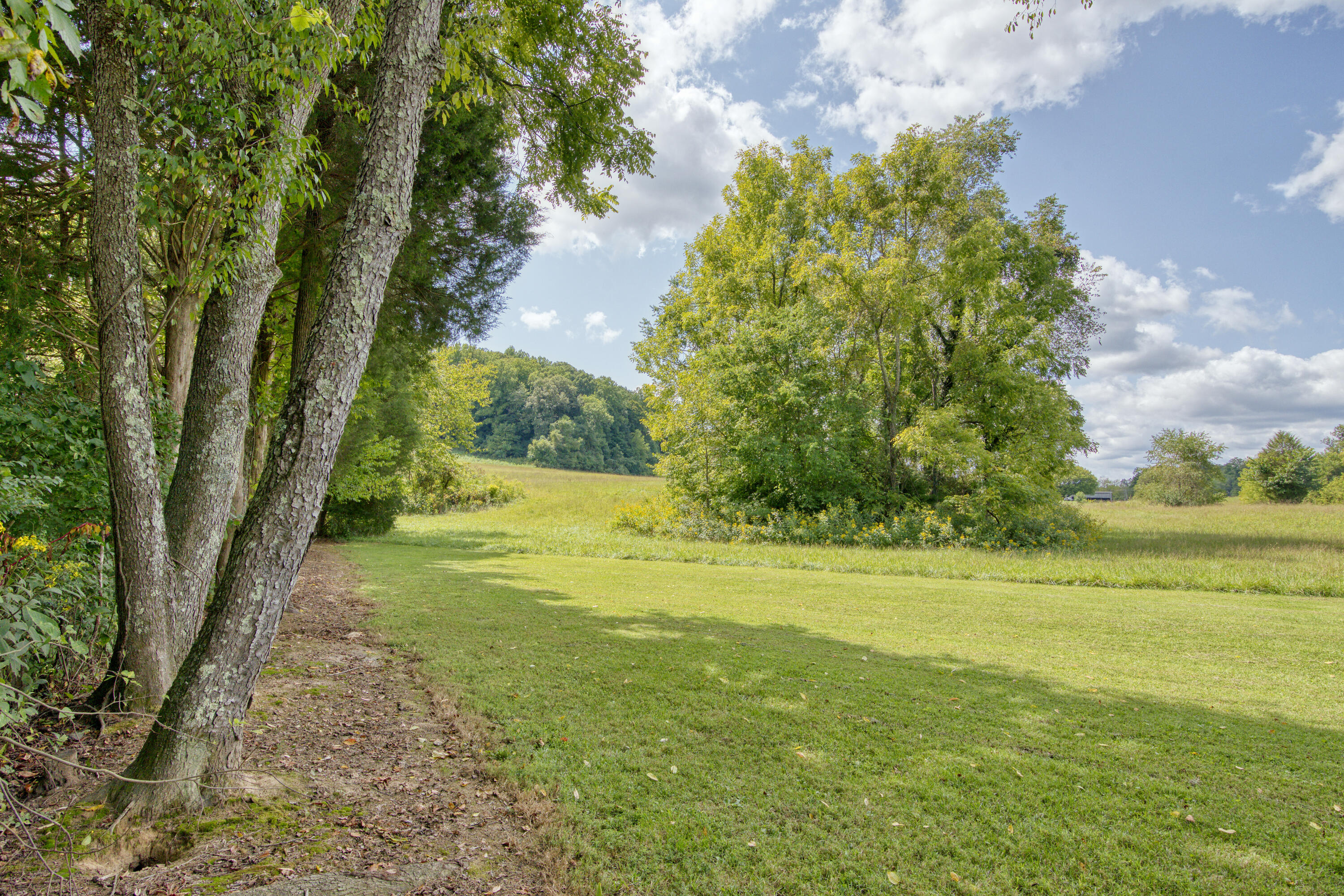 149 Ellis Road Blountville, TN 37617 - Photo 26 of 34 Ellis_65