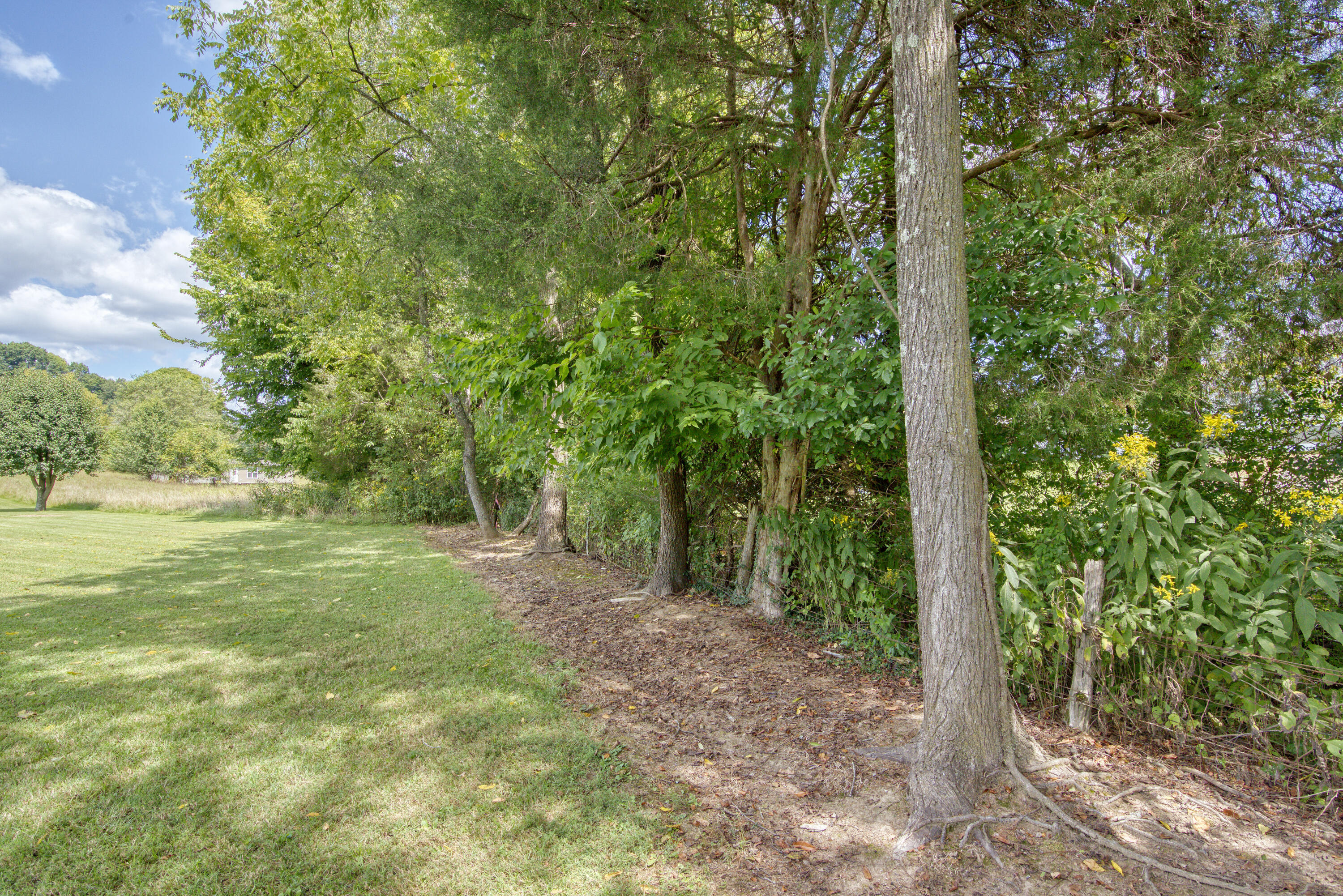 149 Ellis Road Blountville, TN 37617 - Photo 27 of 34 Ellis_67