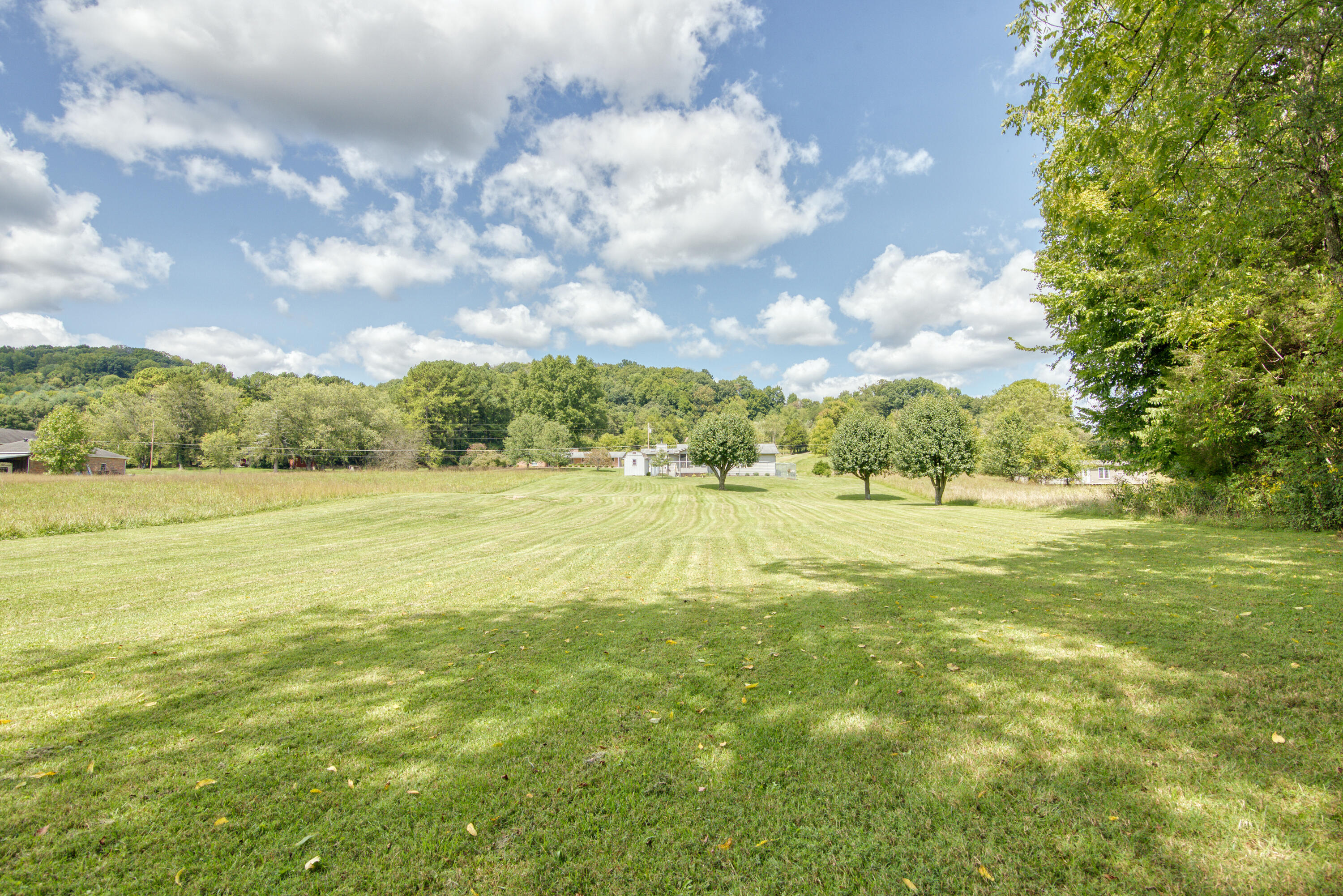 149 Ellis Road Blountville, TN 37617 - Photo 28 of 34 Ellis_68