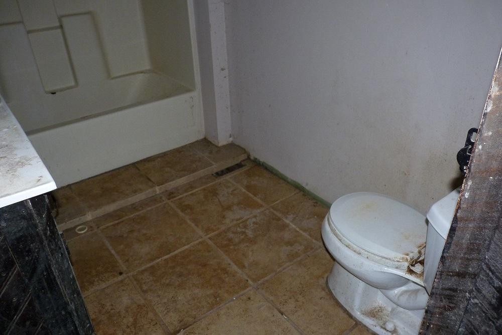 345 Cumberland View Road Clinton, TN 37716 - Photo 11 of 23 a bathroom with a toilet and a rug