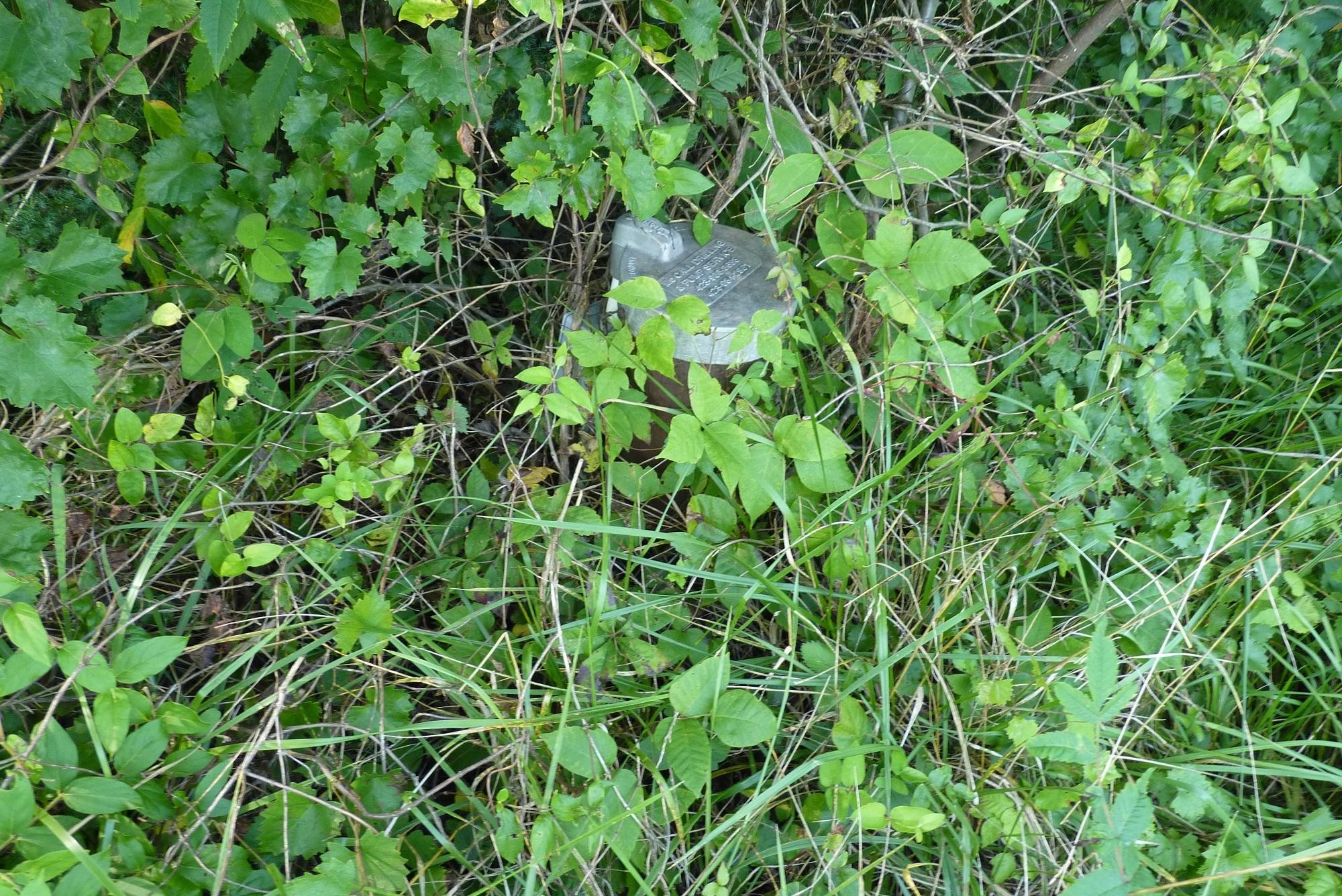 345 Cumberland View Road Clinton, TN 37716 - Photo 15 of 23 a backyard of a house with lots of tree