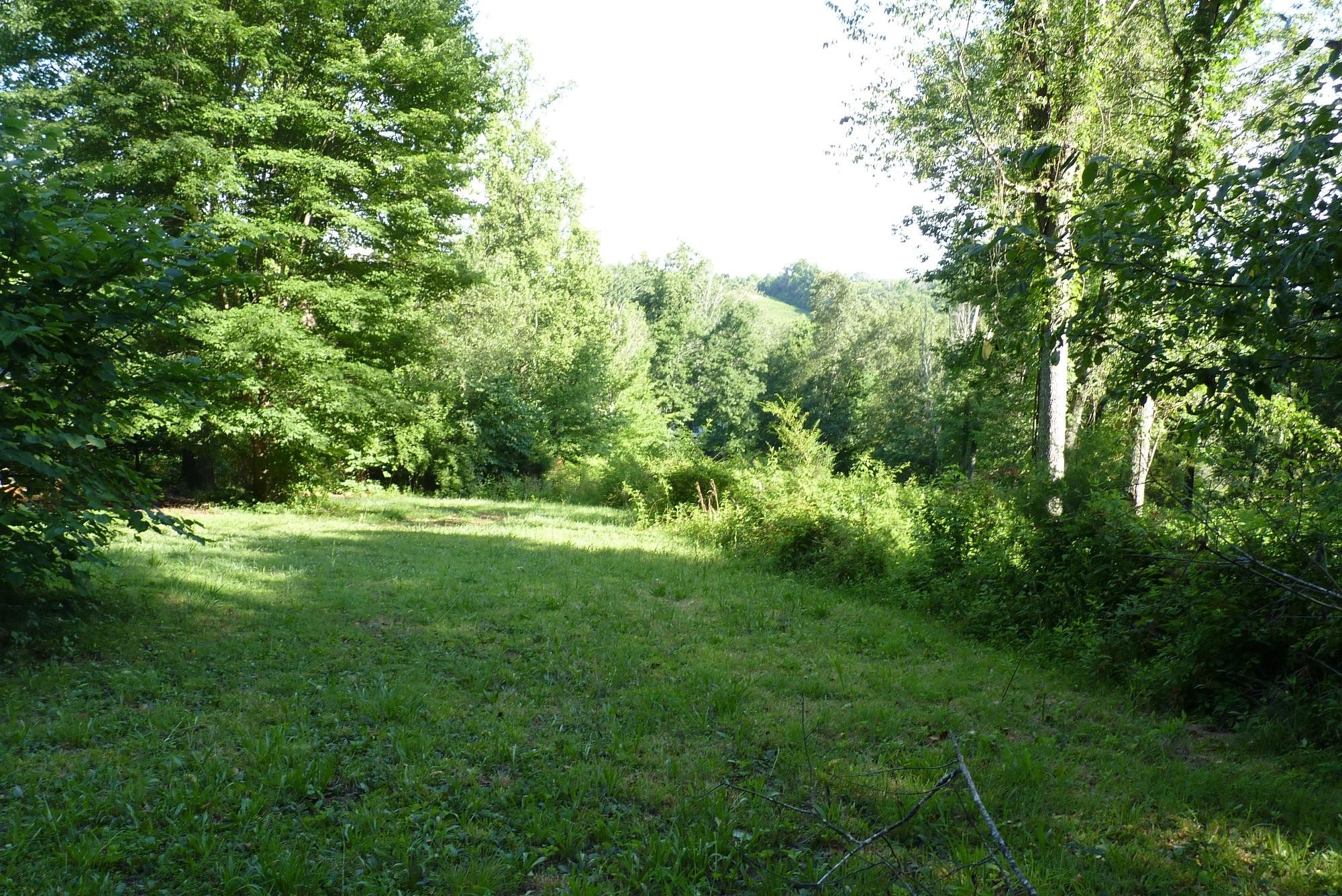 345 Cumberland View Road Clinton, TN 37716 - Photo 23 of 23 a view of yard with green space