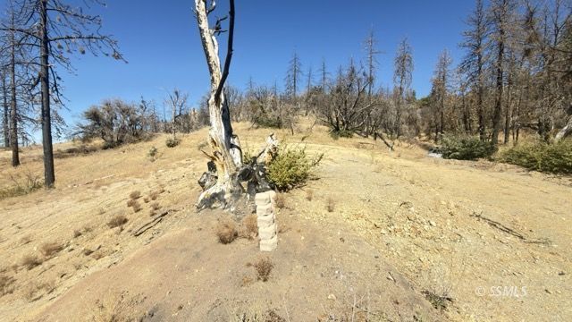 4351 Saddle Springs Road Caliente, CA 93518 - Photo 7 of 15 Gallery Image 7