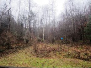 325 Piney Grove Road Elizabethton, TN 37643 - Photo 14 of 17 Photo 14