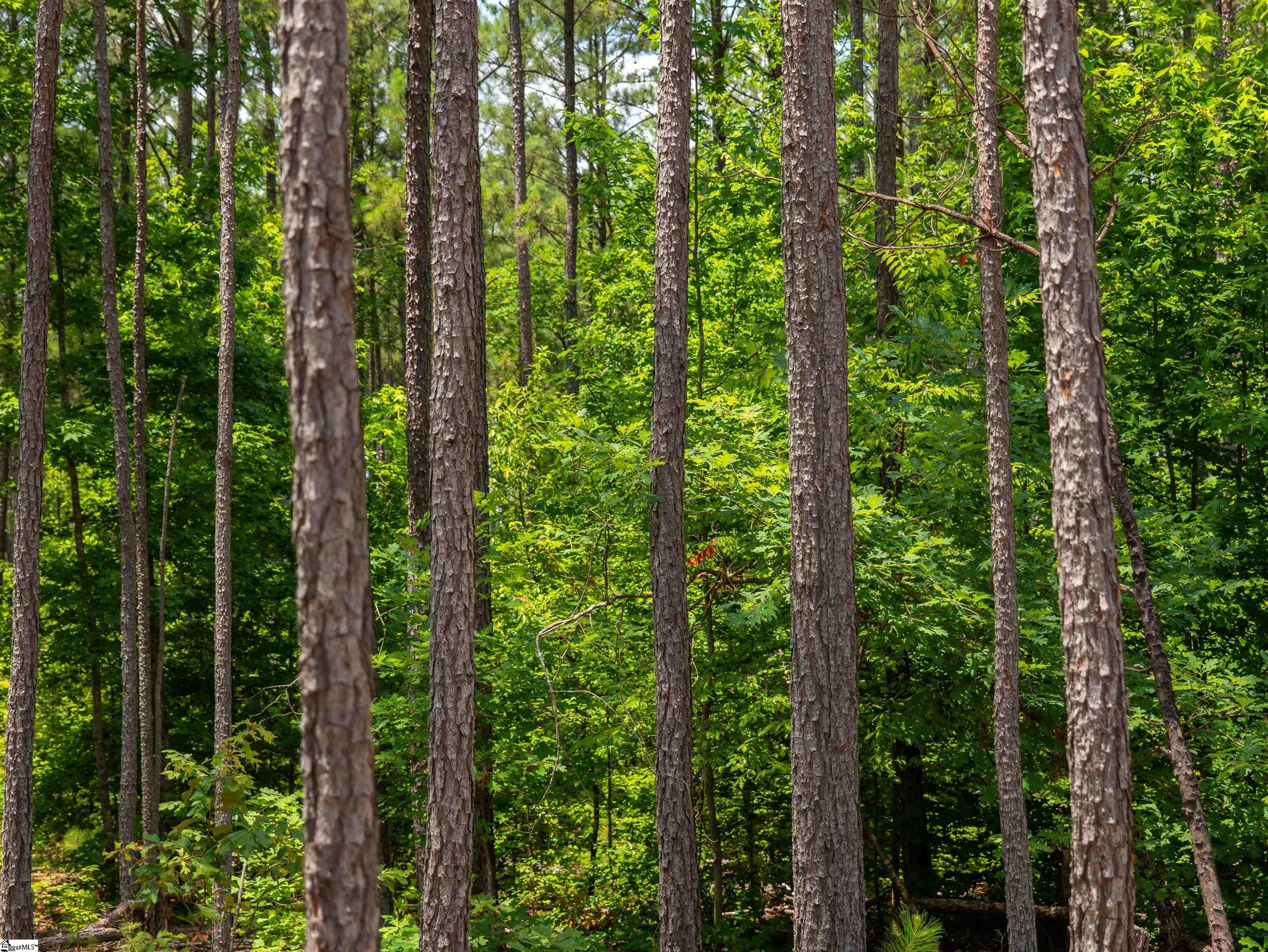 0 Cheek Road, Unit LOT 10 Gray Court, SC 29645 - Photo 15 of 21 Gallery Image 15