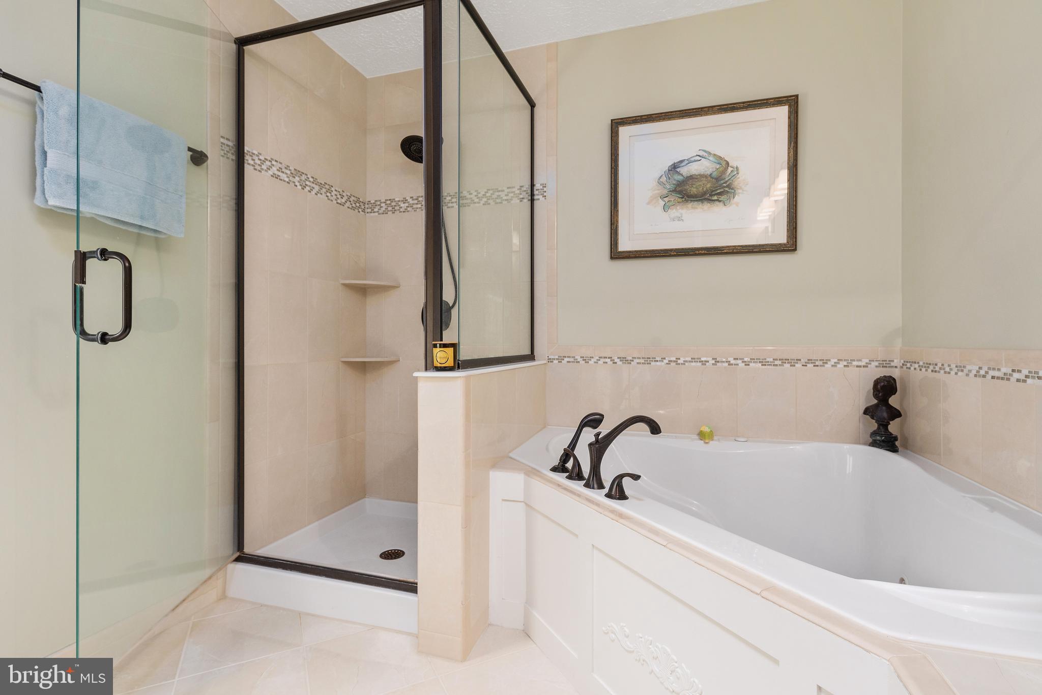3203 Wordsworth Drive Riva, MD 21140 - Photo 19 of 37 Large soaking tub and gorgeous shower
