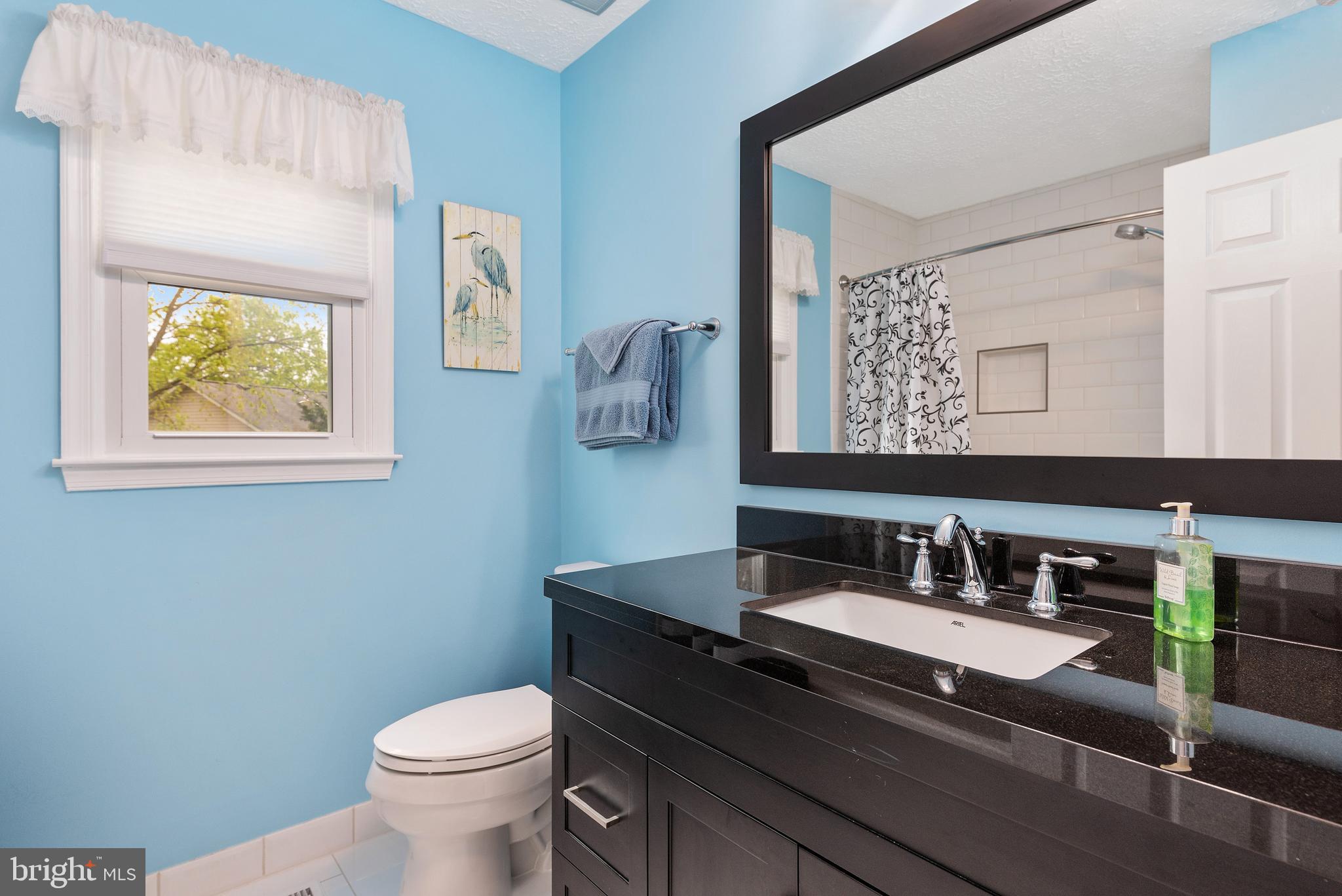 3203 Wordsworth Drive Riva, MD 21140 - Photo 23 of 37 Luxury hall bath