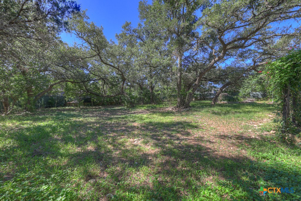 500 Line Camp Loop Spring Branch, TX 78070 - Photo 43 of 48 a view of outdoor space with trees all around