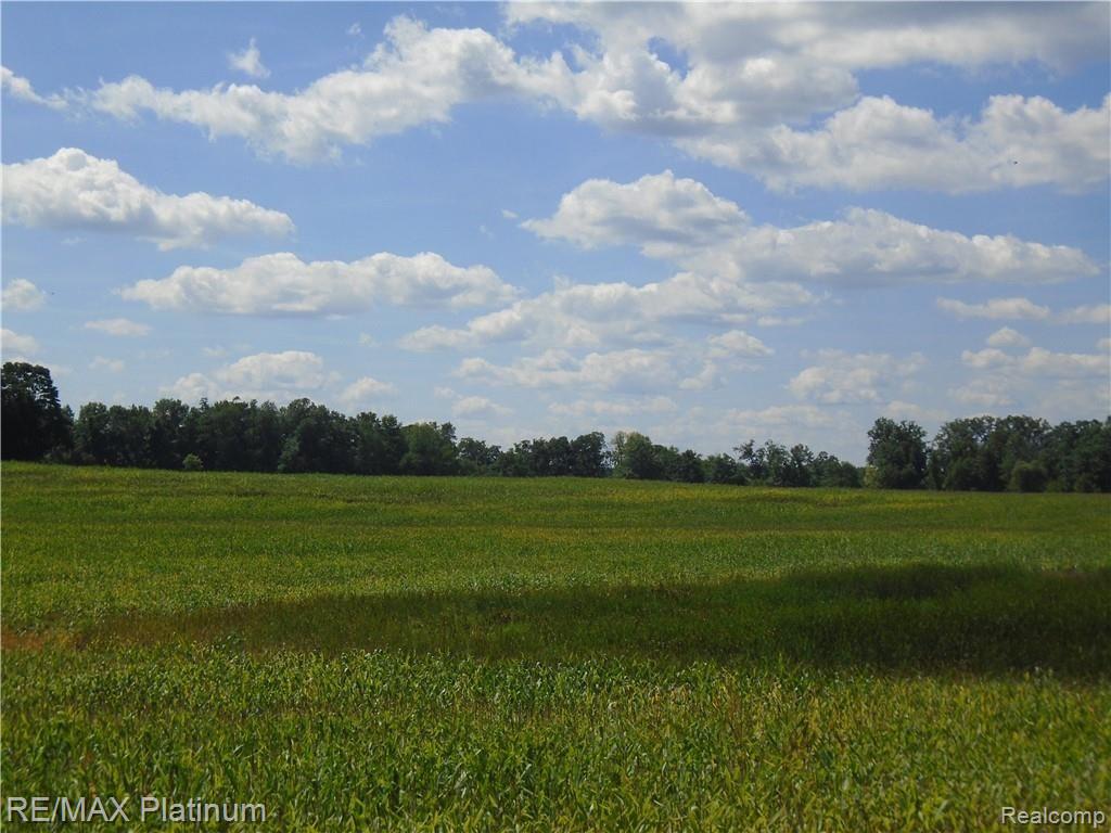 D 2 Germany Road Fenton, MI 48430 - Photo 12 of 27