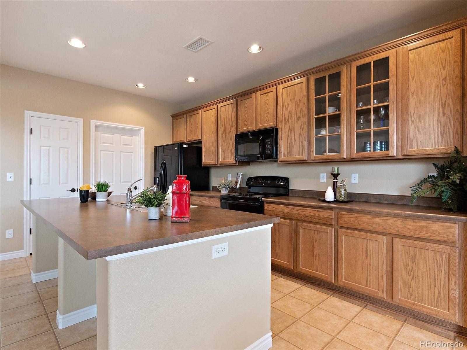 9181 Viaggio Way Highlands Ranch, CO 80126 - Photo 10 of 33