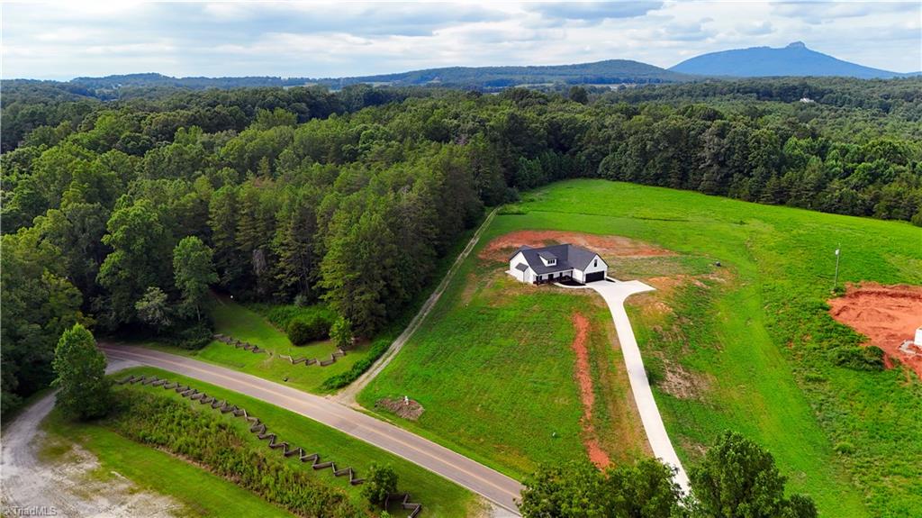 631 Hauser Road Pinnacle, NC 27043 - Photo 37 of 46