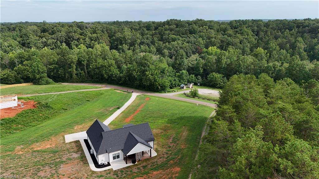 631 Hauser Road Pinnacle, NC 27043 - Photo 38 of 46