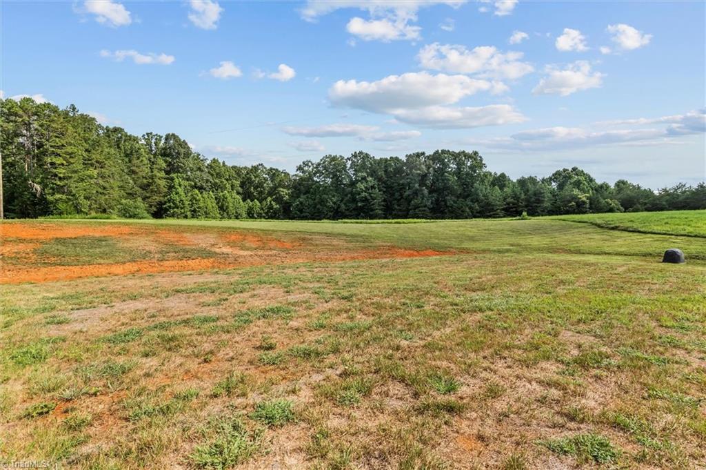 631 Hauser Road Pinnacle, NC 27043 - Photo 45 of 46